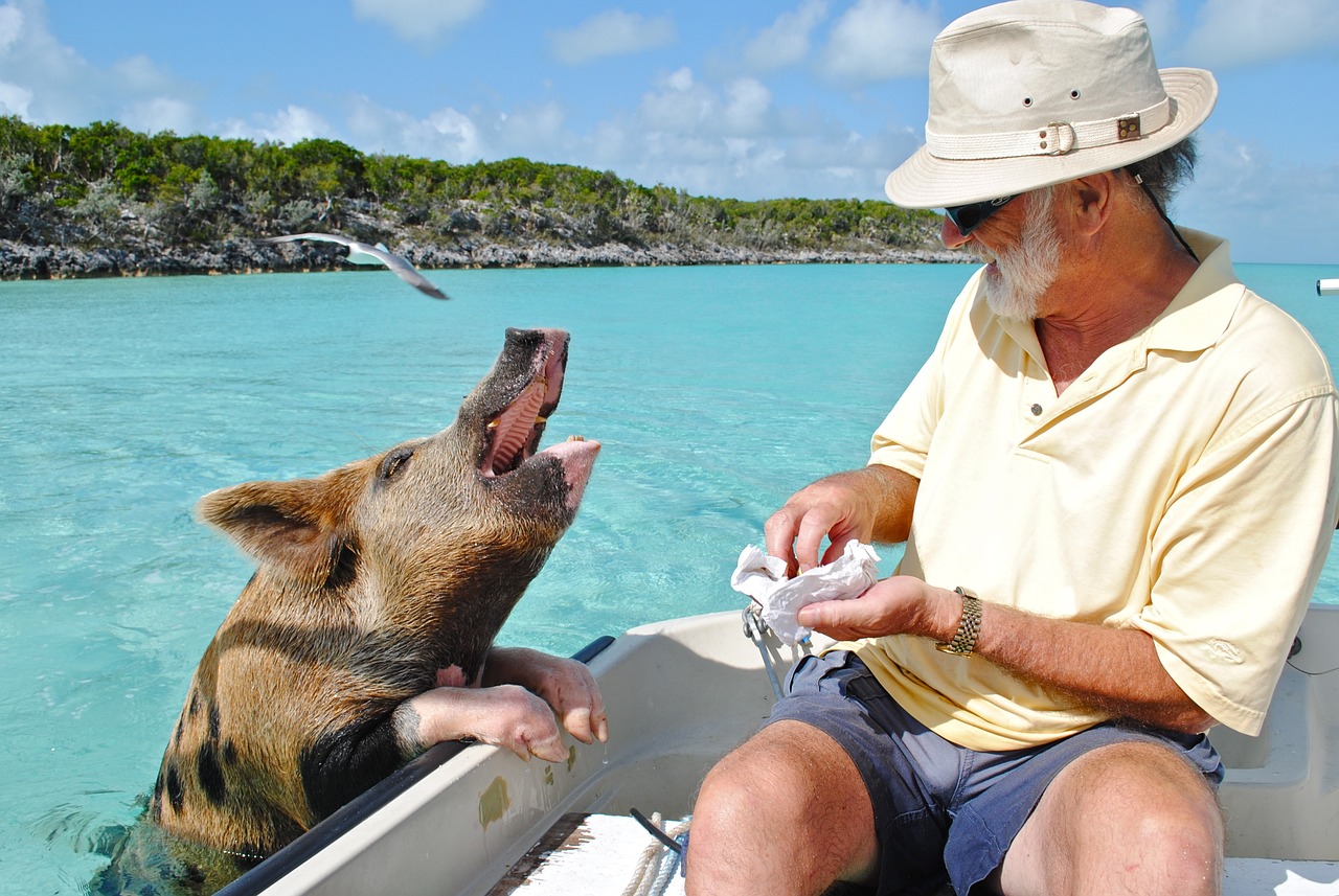 Undiscovered Islands in the Caribbean’s Grenadines